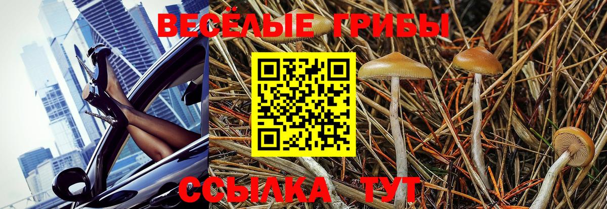 Галлюциногенные грибы Magic Shrooms  Псилоцибиновые грибы мухоморы  Гудермес  Вход с VPN 