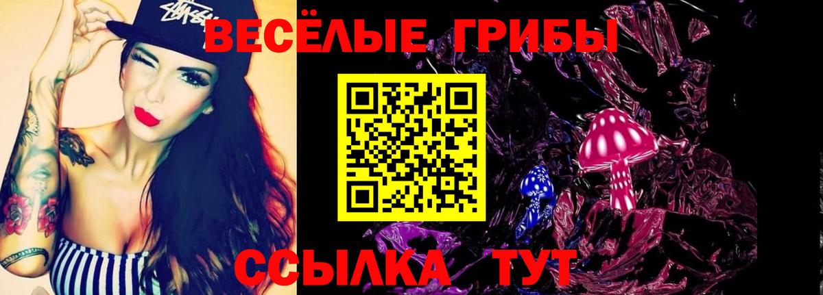 Псилоцибиновые грибы прущие грибы Гудермес